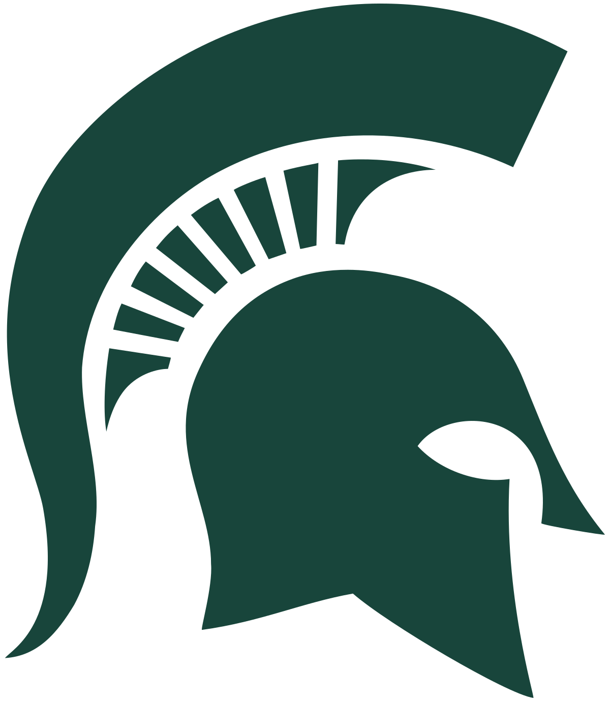 Michigan State University